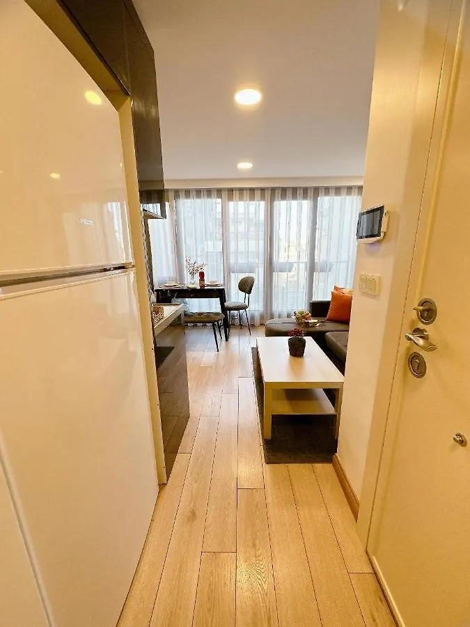 Aliya Home No1-New Apartment Close To Taksim Стамбул