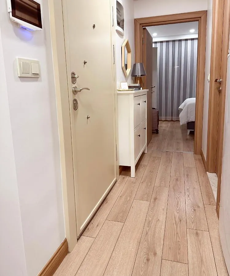 Aliya Home No1-New Apartment Close To Taksim איסטמבול