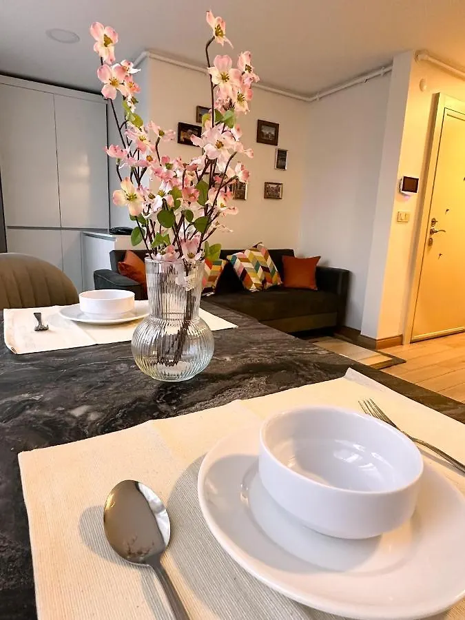 Aliya Home No1-New Apartment Close To Taksim איסטמבול טורקיה