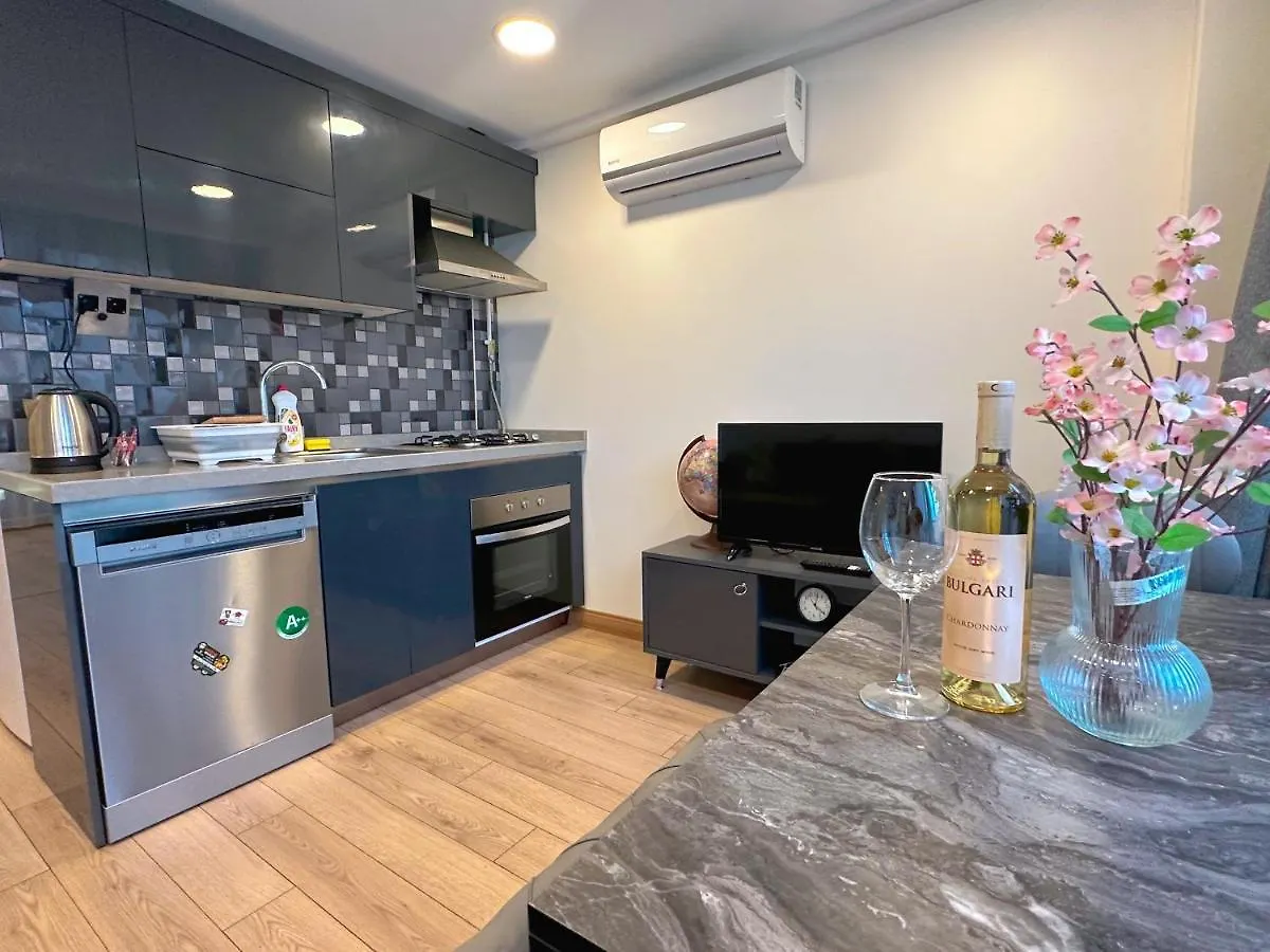 Aliya Home No1-New Apartment Close To Taksim איסטמבול