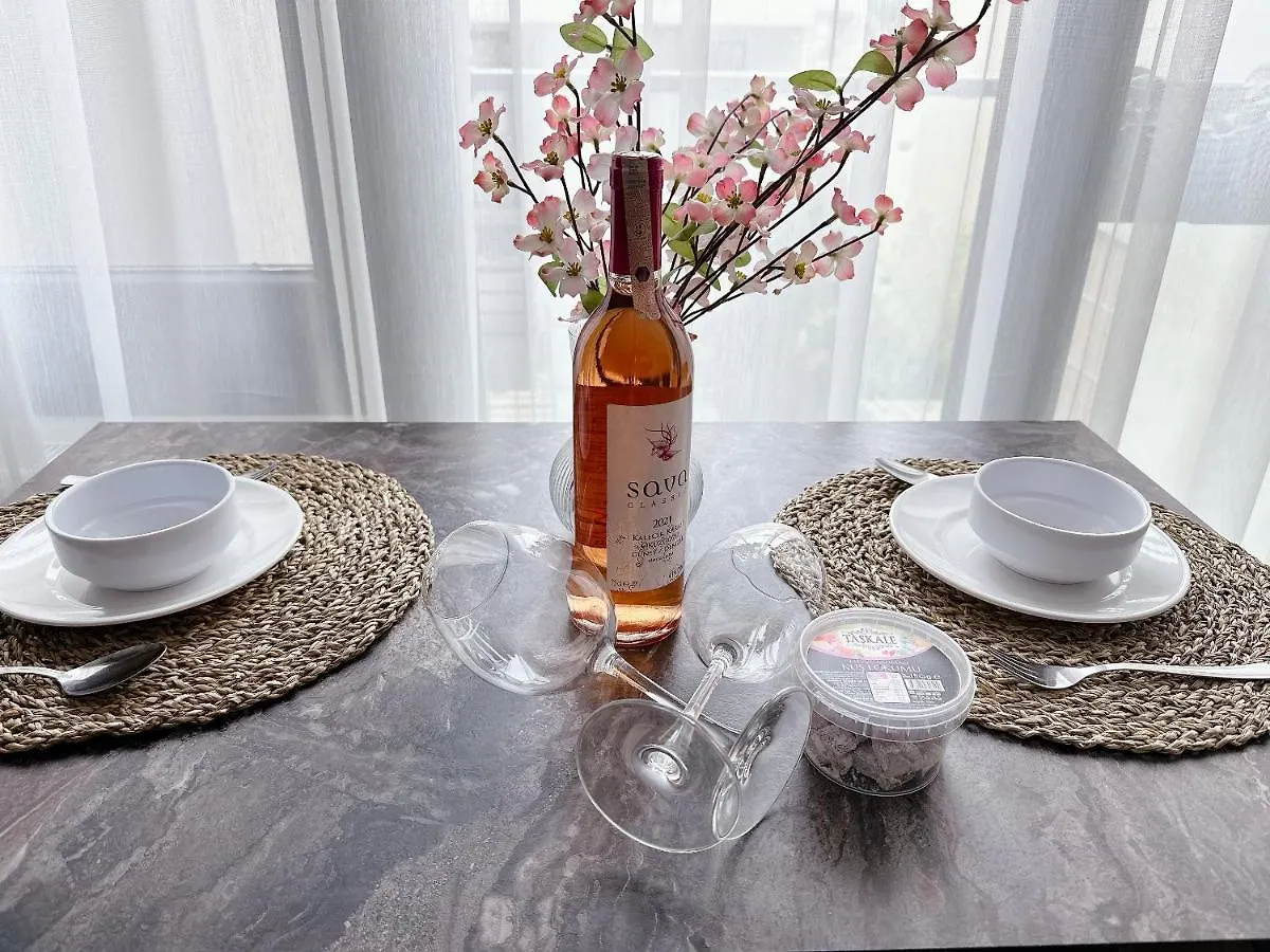 Aliya Home No1-New Apartment Close To Taksim איסטמבול