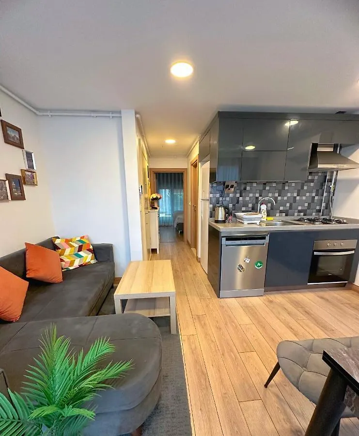 Aliya Home No1-New Apartment Close To Taksim Isztambul Törökország